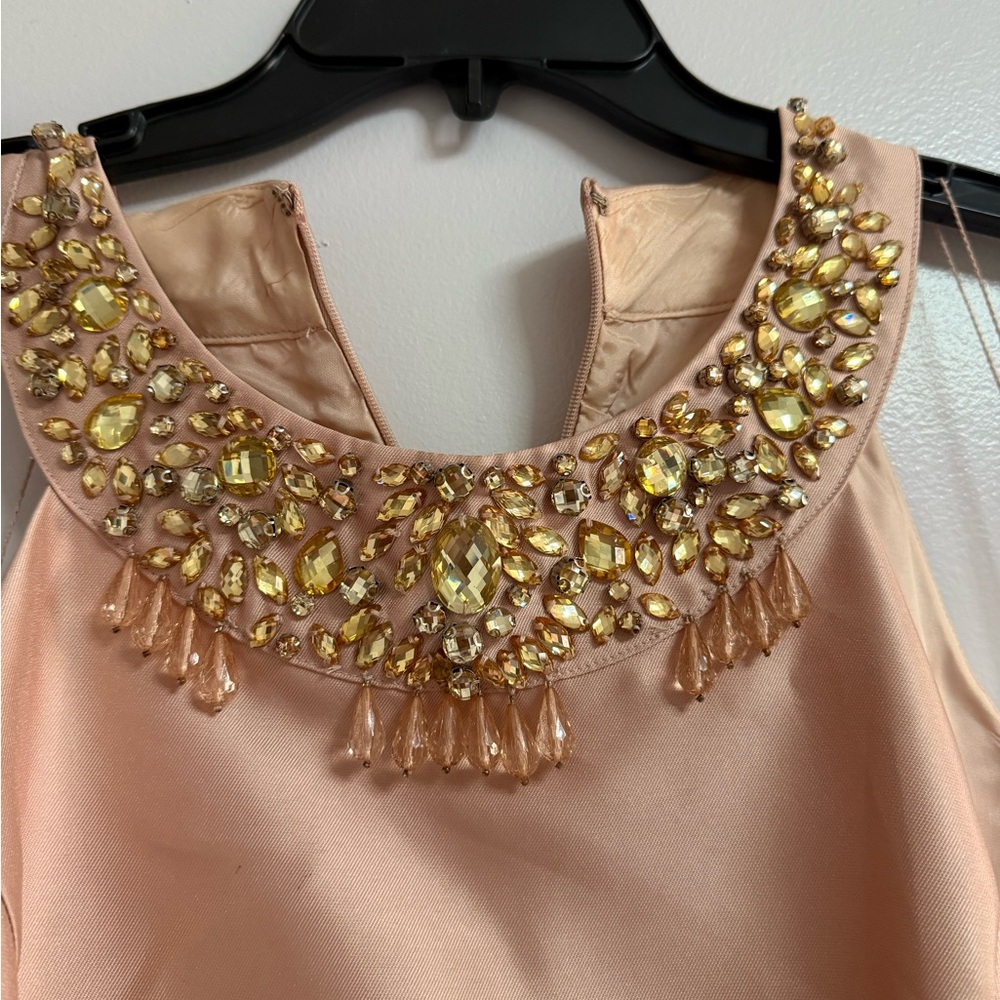 Adrianna Papell Blush Dress with Gold Embellishments
